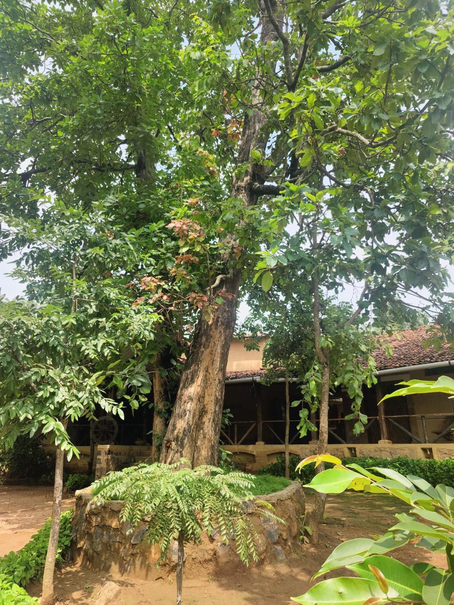 Surwahi Social Ecoestate Kānha Exterior foto